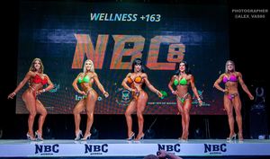 WELLNESS +163